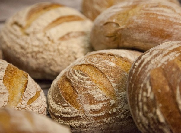 Sourdough - Small