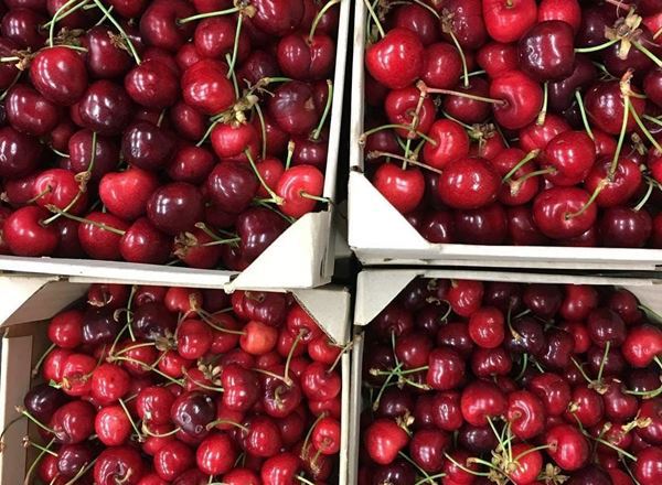 Cherries UK