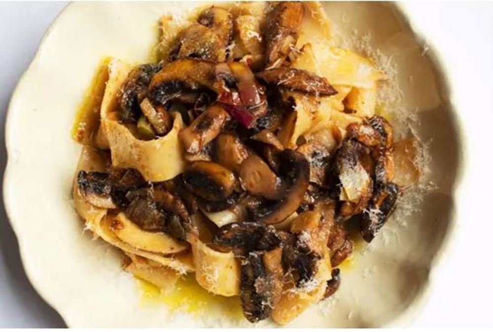 Pappardelle, Mushrooms & Harissa