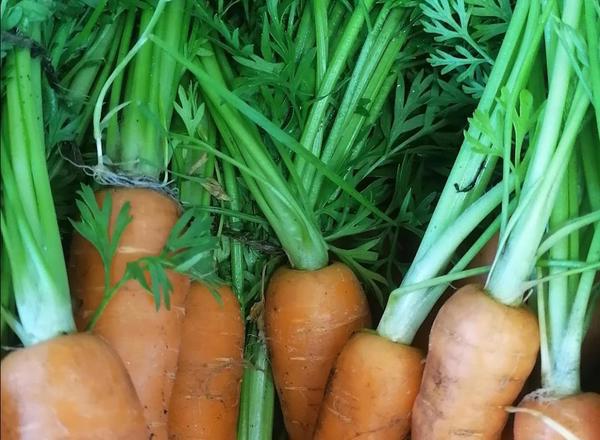 Carrot top pesto 